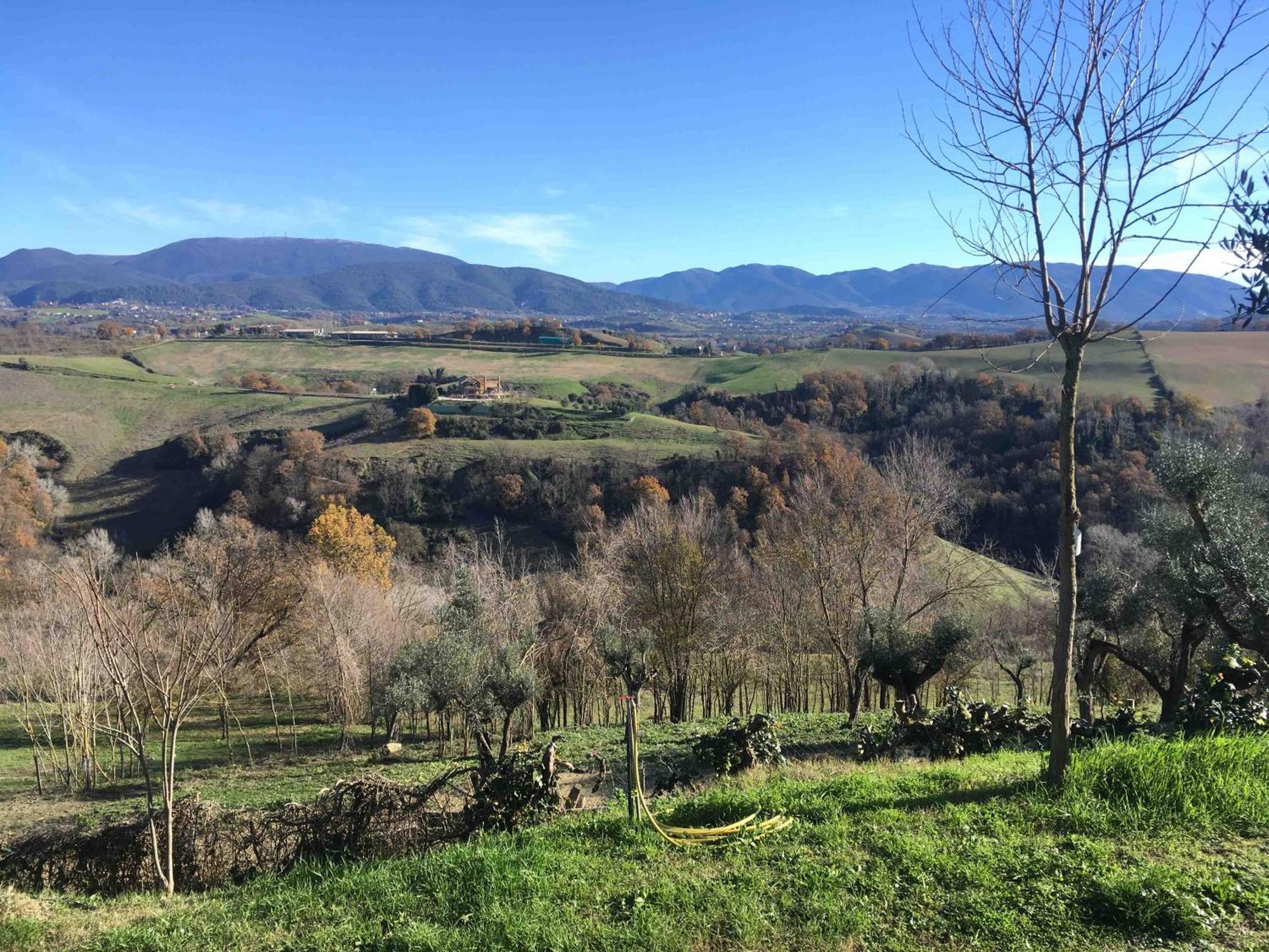 Corte Buenavista Bed & Breakfast Magliano Sabina Exterior photo