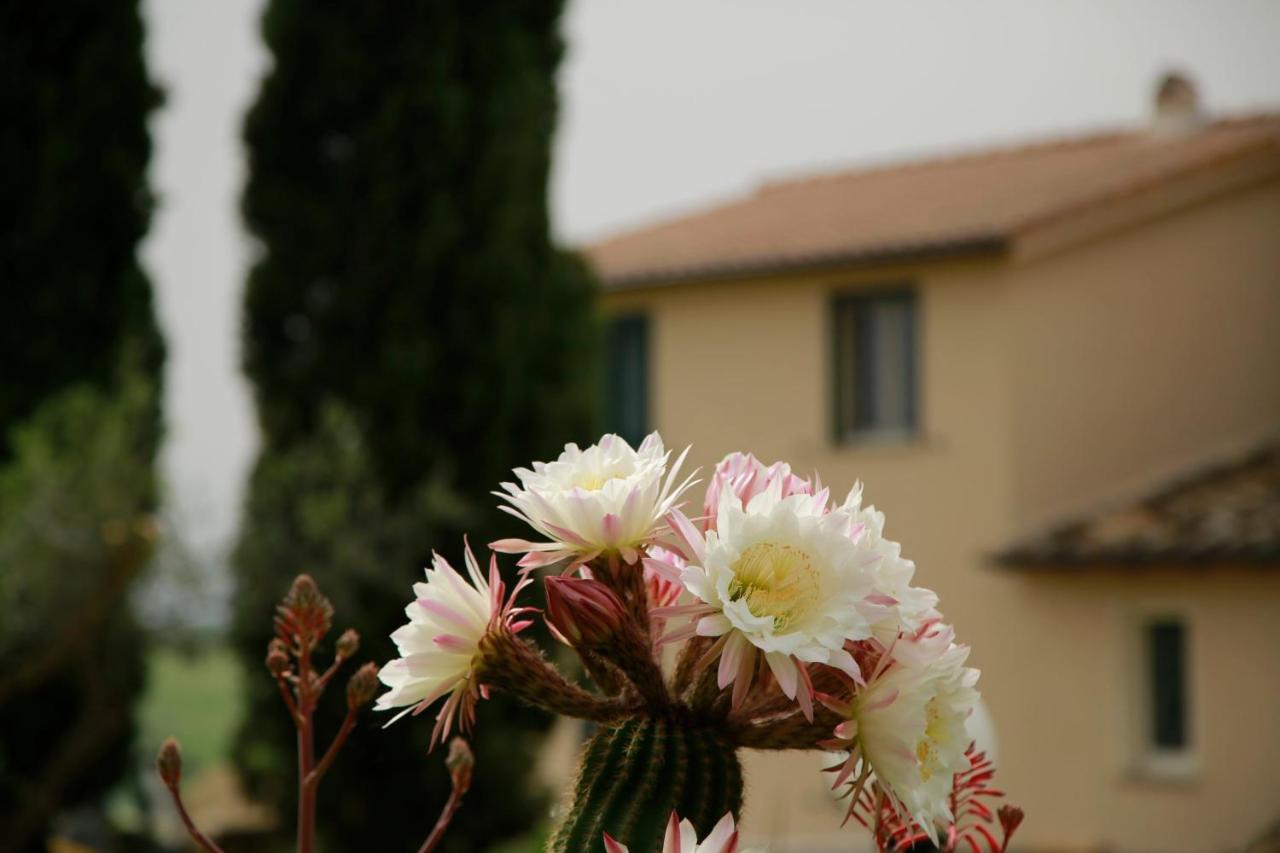 Corte Buenavista Bed & Breakfast Magliano Sabina Exterior photo