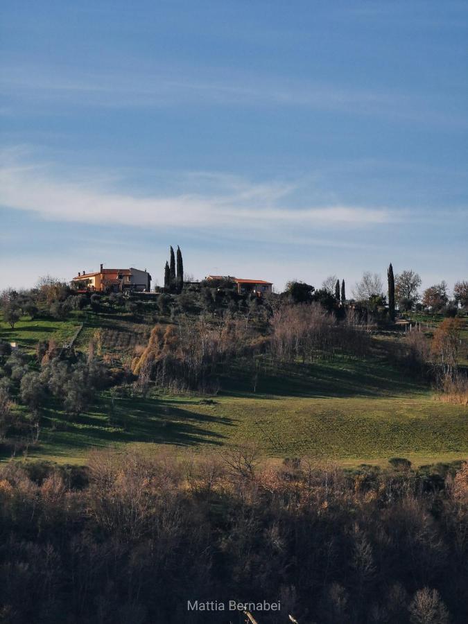 Corte Buenavista Bed & Breakfast Magliano Sabina Exterior photo